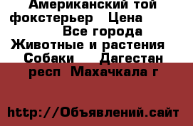Американский той фокстерьер › Цена ­ 25 000 - Все города Животные и растения » Собаки   . Дагестан респ.,Махачкала г.